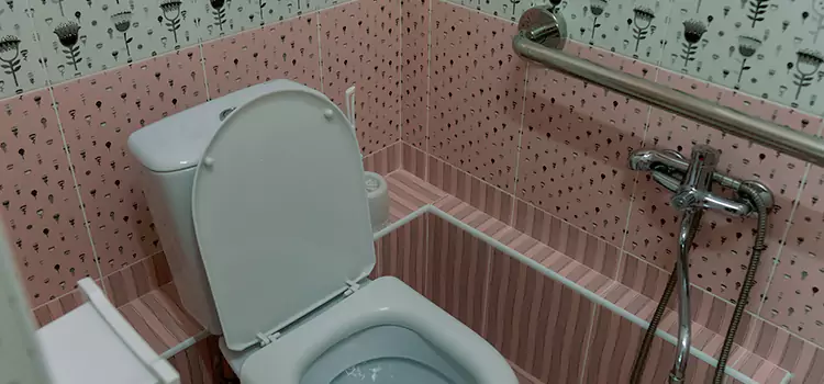 Meeting Diverse Needs With Accessible Restroom Solutions in Lethbridge, AB